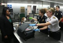 미배송 통관 물품 국내 재판매 시 ‘관세법’ 위반…“강력 처벌” woman in black crew neck t-shirt standing beside woman in white t-shirt