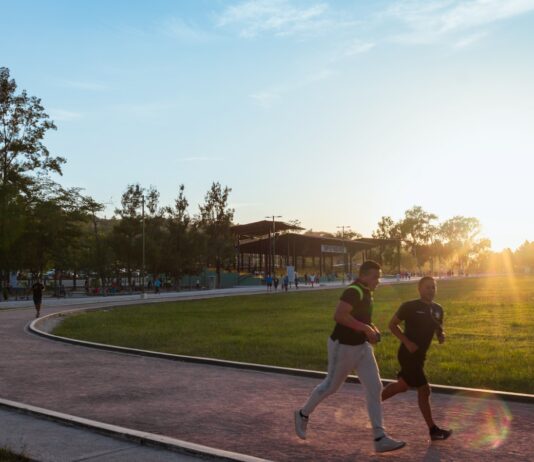 가을의 낭만을 운동으로 채우는 건강한 다이어트 방법 people playing basketball on green grass field during daytime