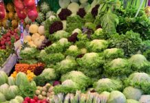 건강재료를 활용한 건강한 샐러드 green and yellow vegetables and fruits