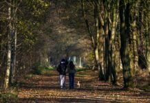 ‘스몰 챌린지’ 열풍, 작은 습관이 바꾸는 건강한 일상 Two people walking down a path in the woods