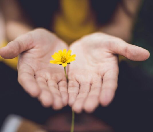 “내 뇌를 위한 작은 변화, 건강한 일상의 시작” selective focus photography of woman holding yellow petaled flowers