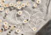 삶에 스며드는 웰니스 문화… 일상 속 실천법은? white and blue floral textile