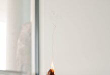 ‘나를 위한 작은 변화’…일상 속으로 들어온 웰니스 문화 person holding orange flower in front of white wall